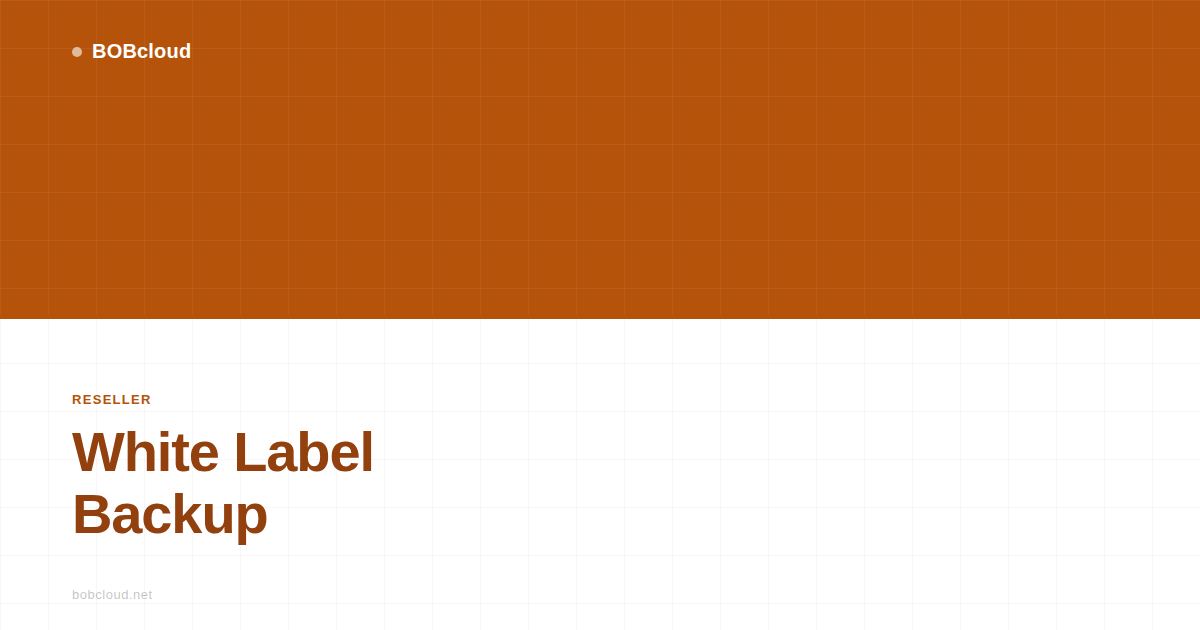 White Label Backup: How MSPs Build a Branded Backup Service