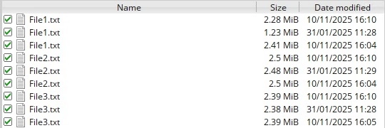 Multiple versions of the same file