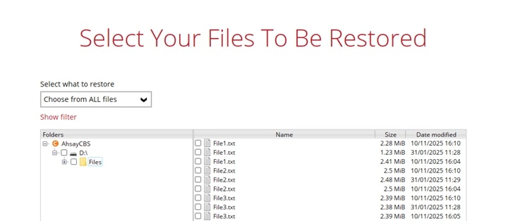 Browsing all available file versions