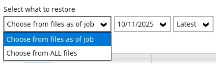 Select what to restore options