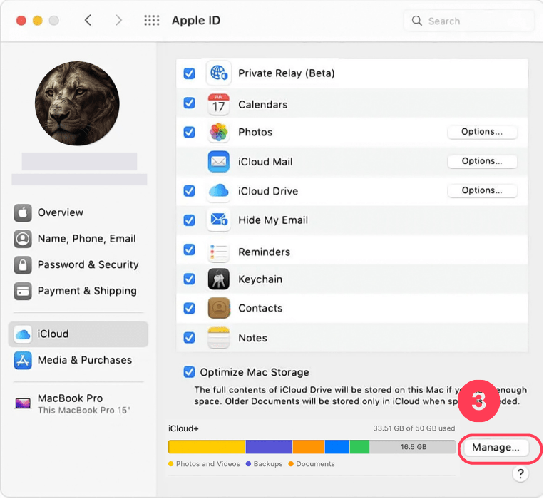 How to Cancel iCloud Storage on Mac OS​