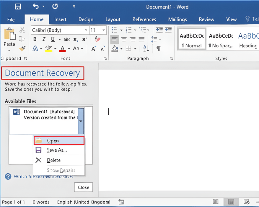 Document Recovery Microsoft Word Application