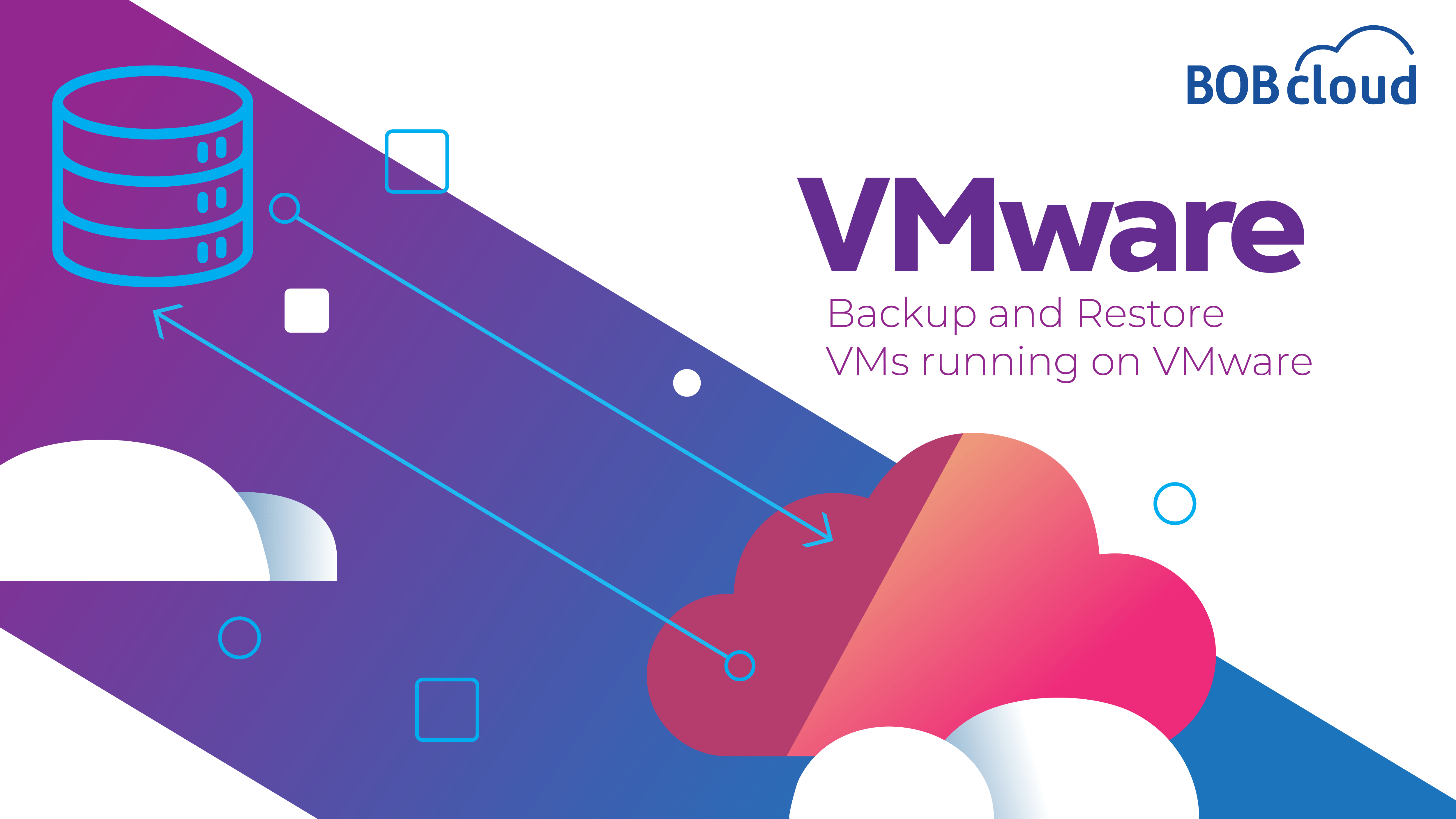 VMware backup icon