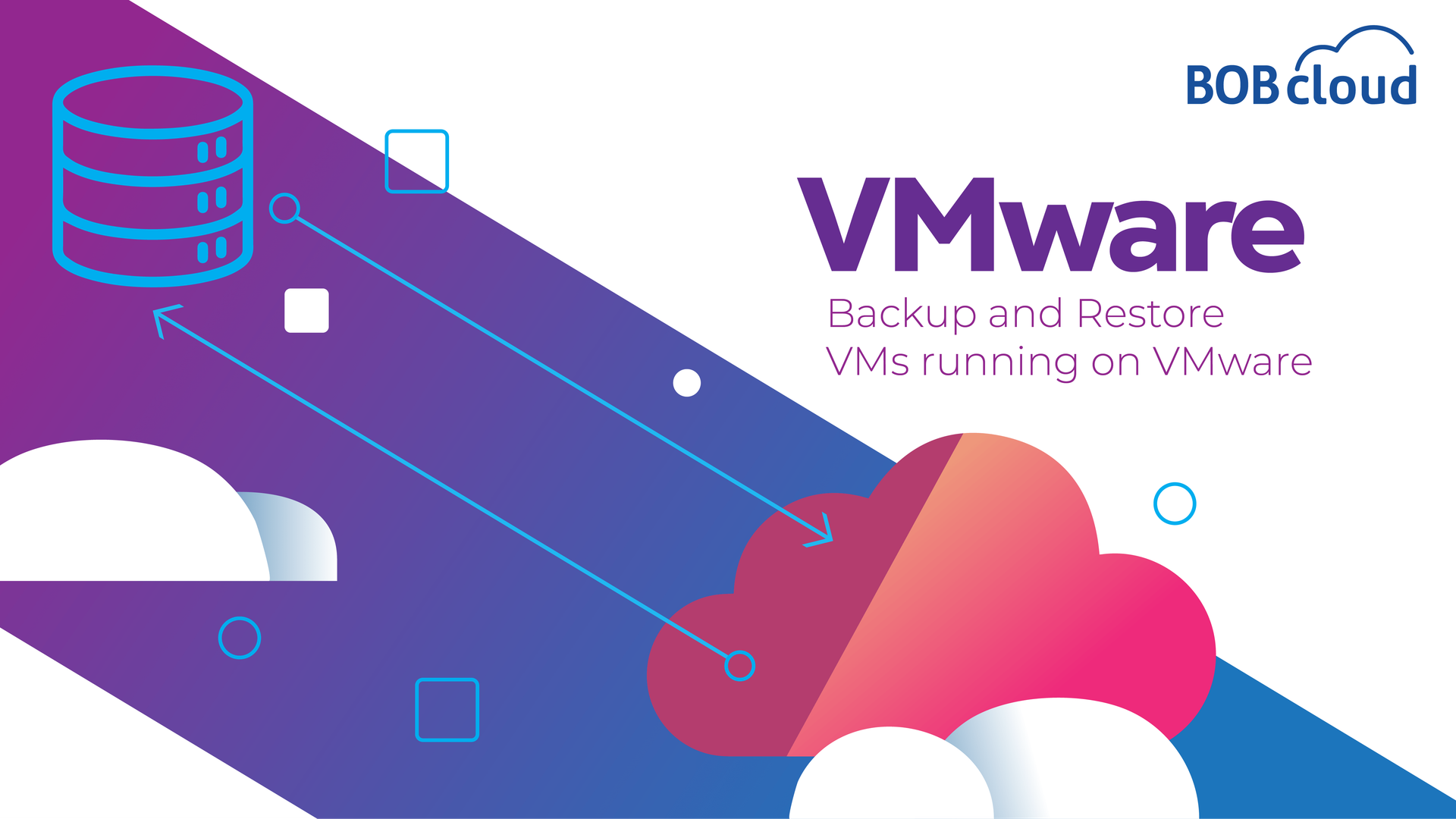 VMware backup icon